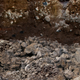 Illustration for article titled Horrified Geologists Uncover Millions Of Rocks In Sprawling Mass Graveem/em